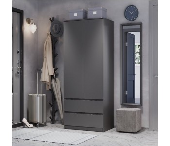 Шкаф 2-х створчатый "Симпл ШК-03" Графит (BTS)