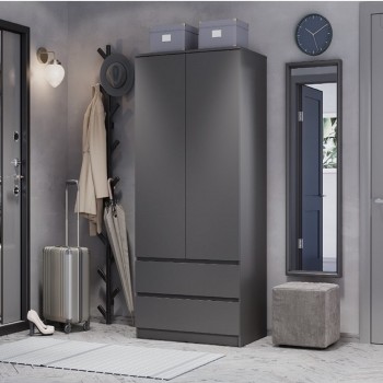 Шкаф 2-х створчатый "Симпл ШК-03" Графит (BTS)