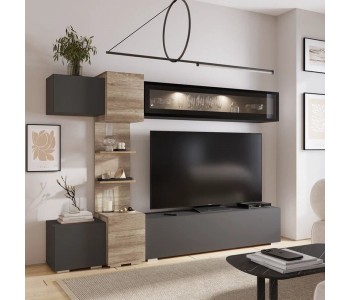 Гостиная "Рейн" ГС-01 (BTS)