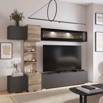 Гостиная "Рейн" ГС-01 (BTS)